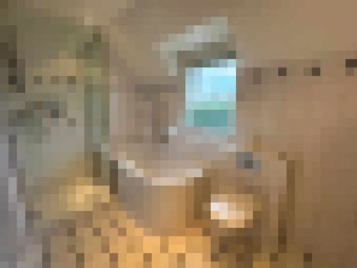 Julianalaan 12 a Wernhout thumbnail 5