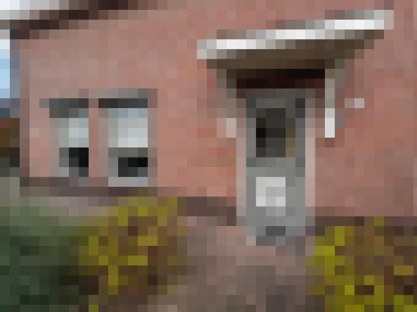 Julianalaan 12 a Wernhout thumbnail 8