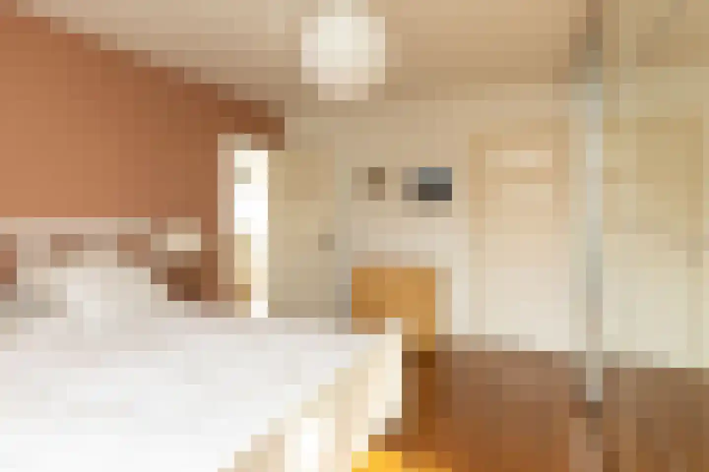 Julianalaan 12 Hilversum thumbnail 21