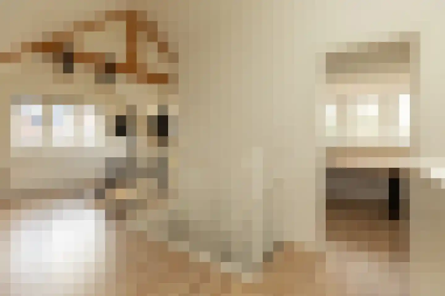 Julianalaan 12 Hilversum thumbnail 24