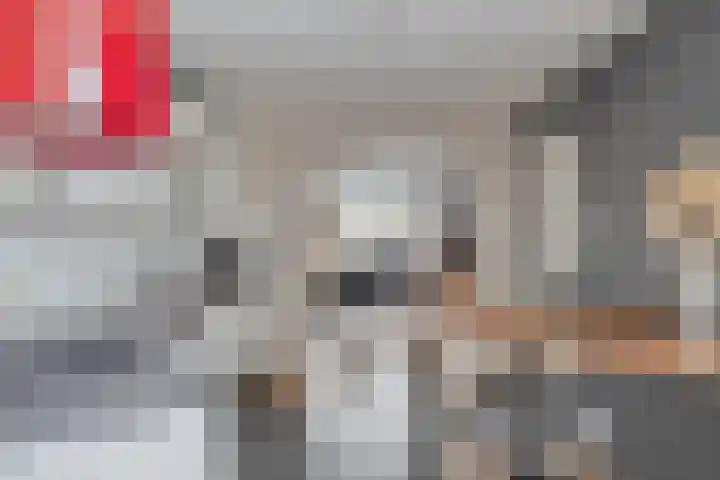 Julianalaan 12 Posterholt thumbnail 14