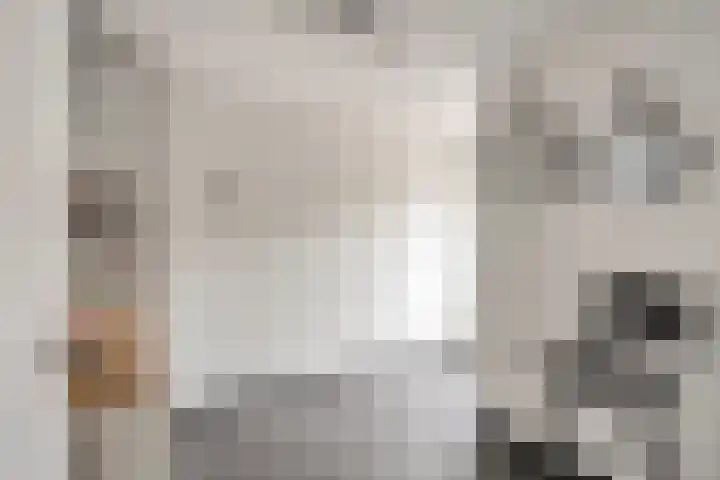 Julianalaan 12 Posterholt thumbnail 17