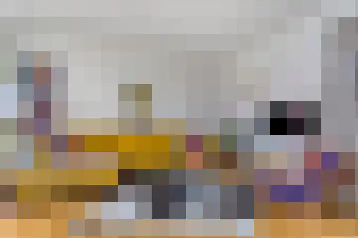 Julianalaan 12 Veendam thumbnail 10