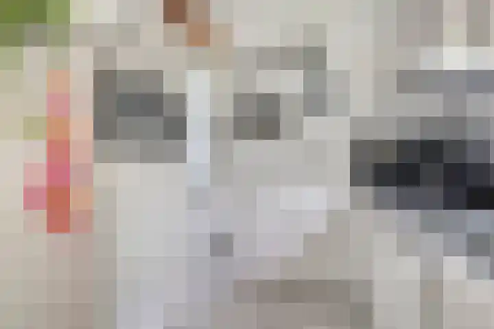 Julianalaan 12 Veendam thumbnail 17