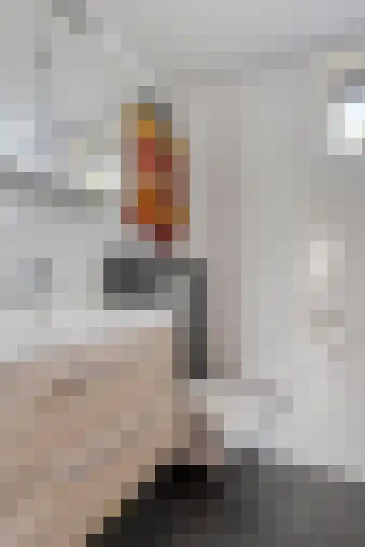 Julianalaan 12 Veendam thumbnail 20