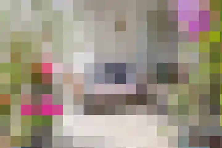Julianalaan 12 Veendam thumbnail 26