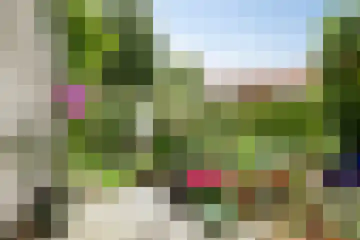 Julianalaan 12 Veendam thumbnail 27