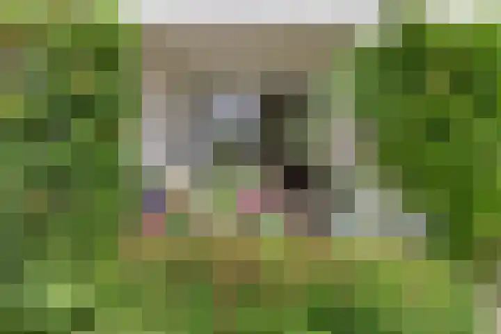 Julianalaan 12 Veendam thumbnail 28