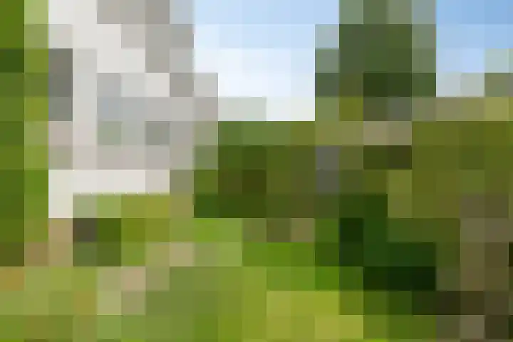 Julianalaan 12 Veendam thumbnail 29