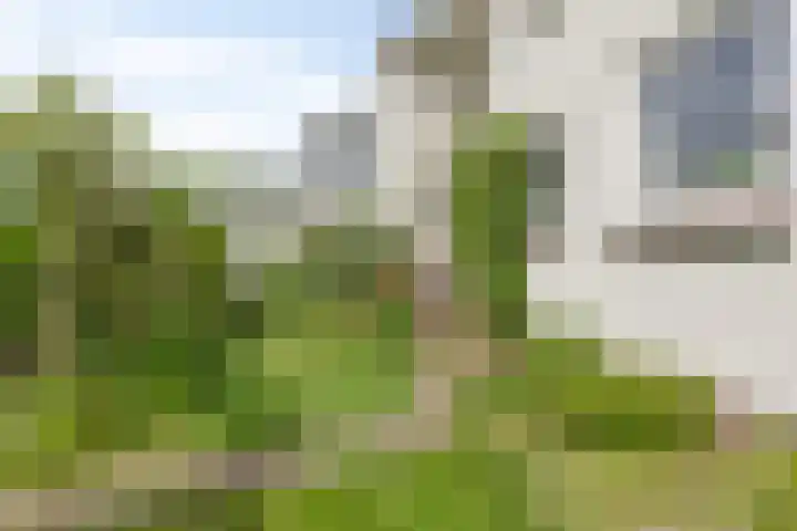 Julianalaan 12 Veendam thumbnail 30