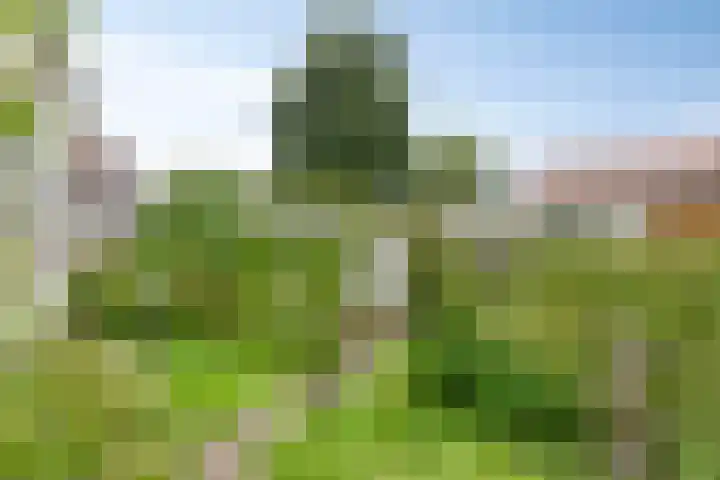 Julianalaan 12 Veendam thumbnail 31
