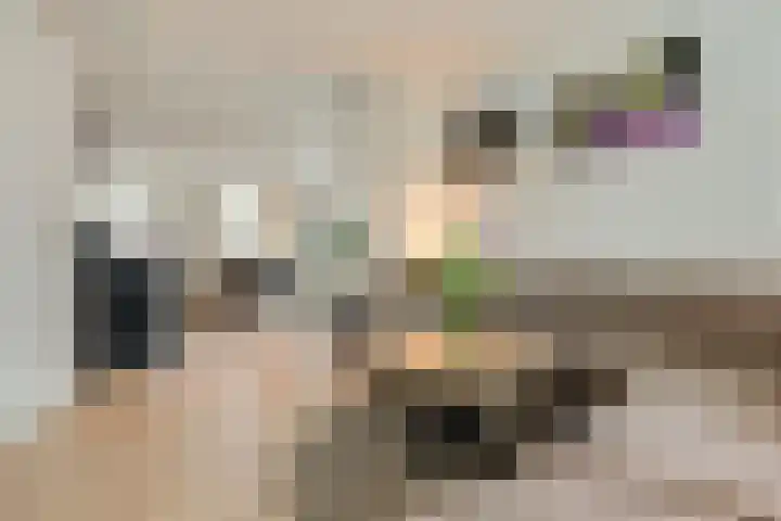 Julianalaan 120 Bergschenhoek thumbnail 12