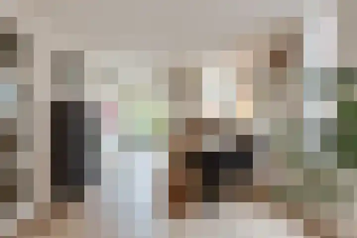 Julianalaan 120 Bergschenhoek thumbnail 13