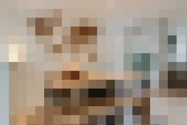 Julianalaan 120 Bergschenhoek thumbnail 14