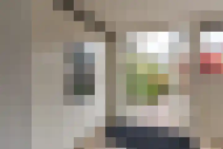 Julianalaan 120 Bergschenhoek thumbnail 17
