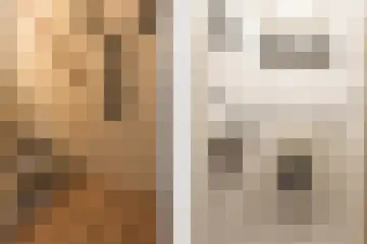 Julianalaan 120 Bergschenhoek thumbnail 18