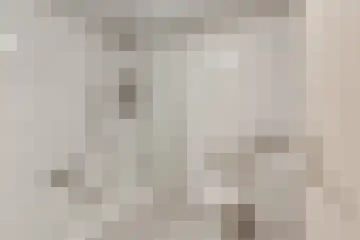 Julianalaan 120 Bergschenhoek thumbnail 24