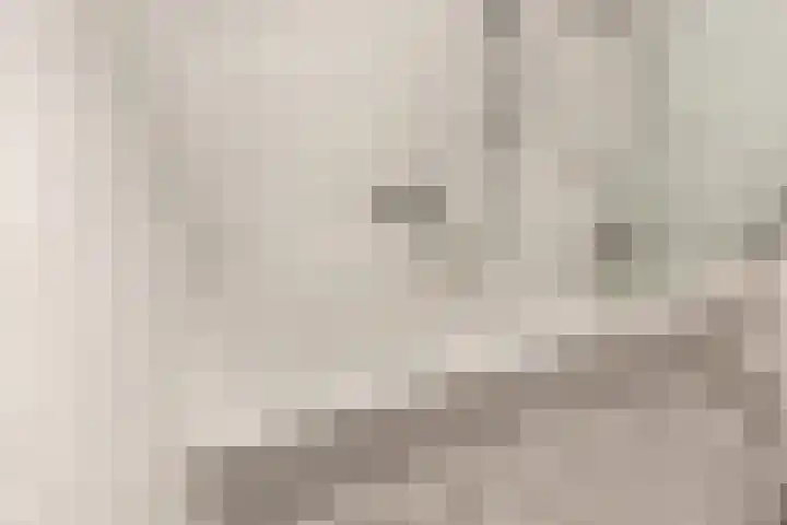 Julianalaan 120 Bergschenhoek thumbnail 26