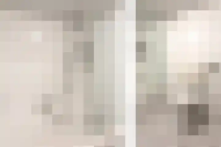 Julianalaan 120 Bergschenhoek thumbnail 27