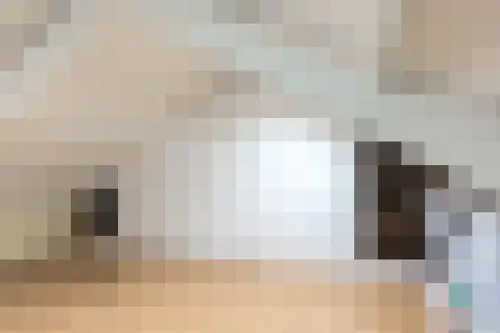 Julianalaan 120 Bergschenhoek thumbnail 28