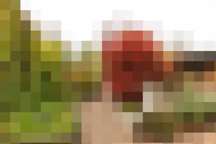 Julianalaan 120 Bergschenhoek thumbnail 31