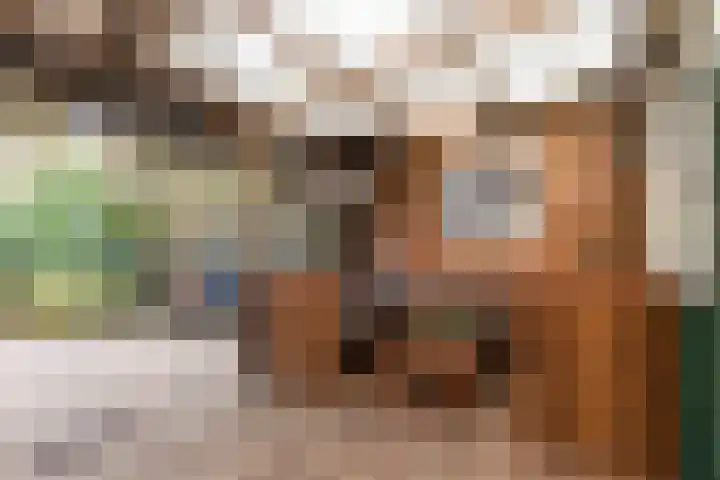 Julianalaan 120 Bergschenhoek thumbnail 34