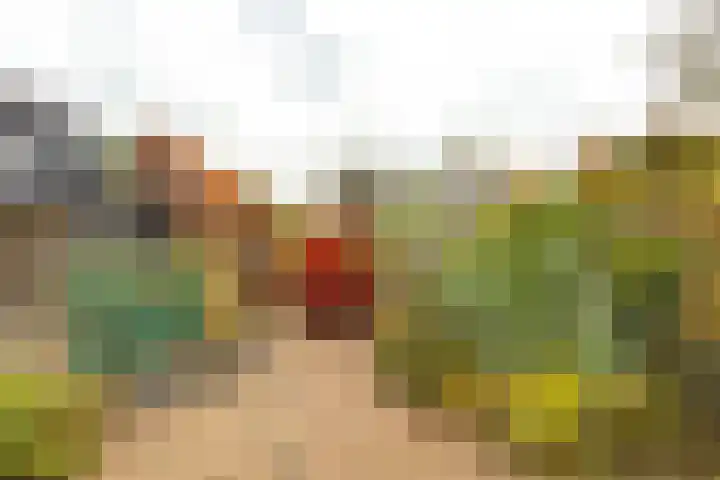 Julianalaan 120 Bergschenhoek thumbnail 4