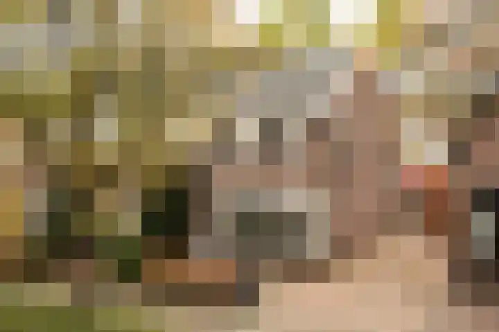 Julianalaan 120 Bergschenhoek thumbnail 5