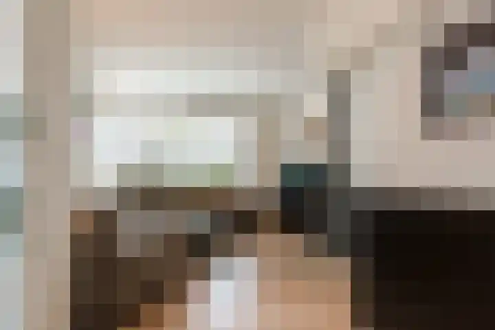 Julianalaan 120 Bergschenhoek thumbnail 8