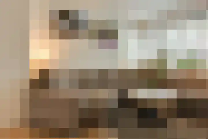 Julianalaan 120 Bergschenhoek thumbnail 9