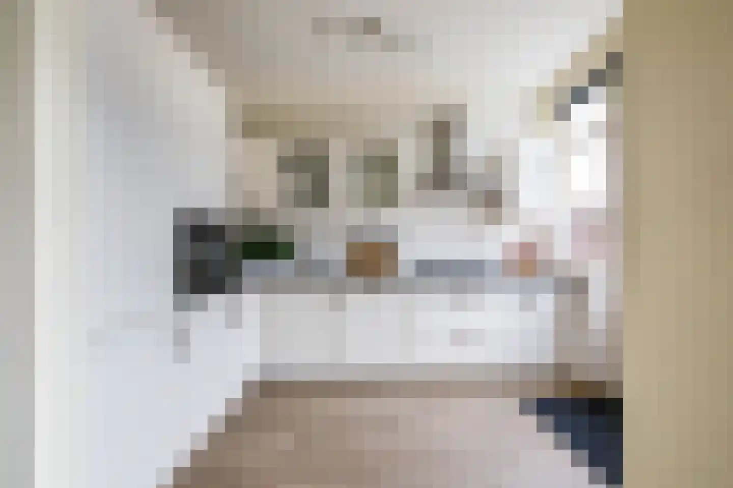 Julianalaan 127 Haastrecht thumbnail 14