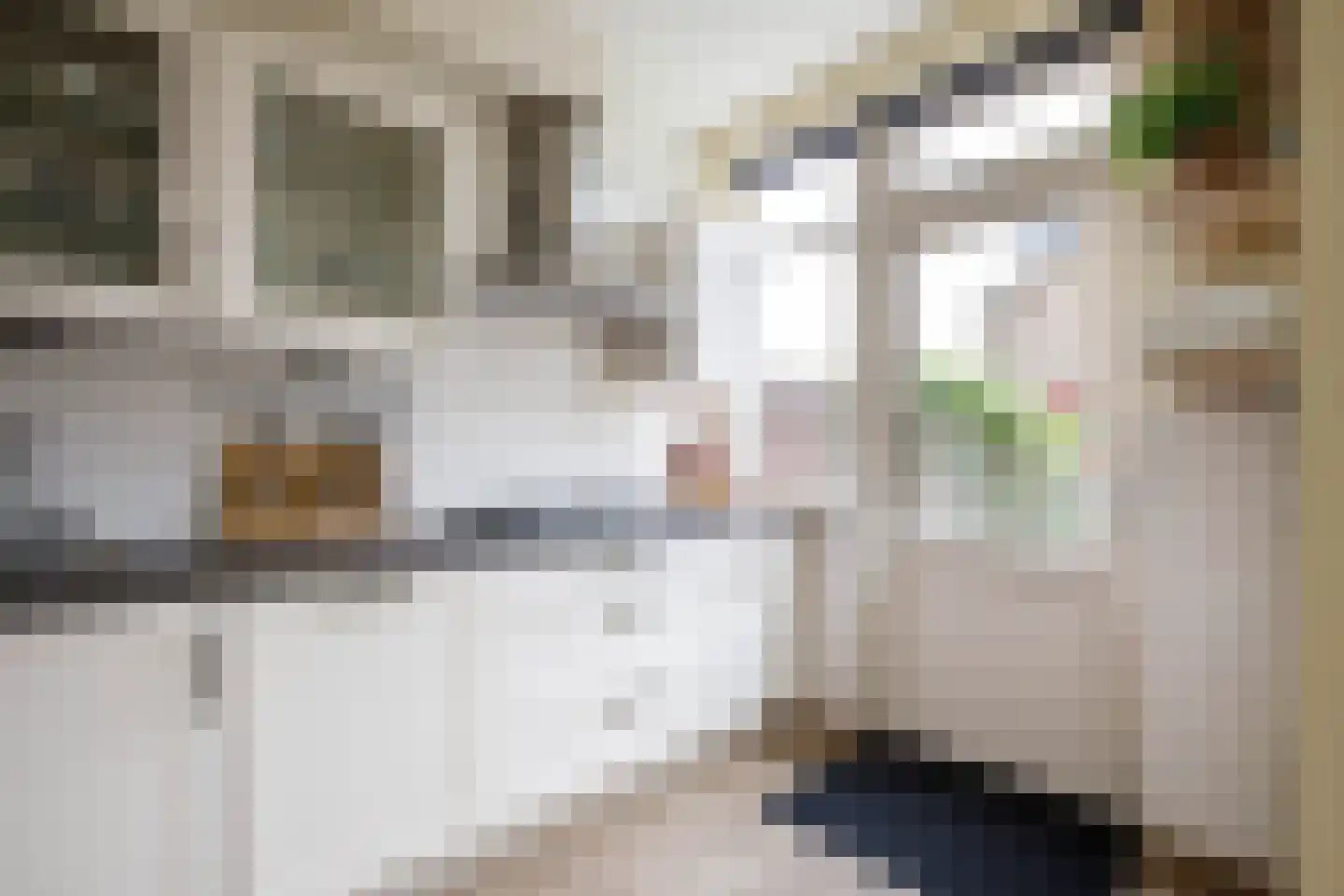 Julianalaan 127 Haastrecht thumbnail 16