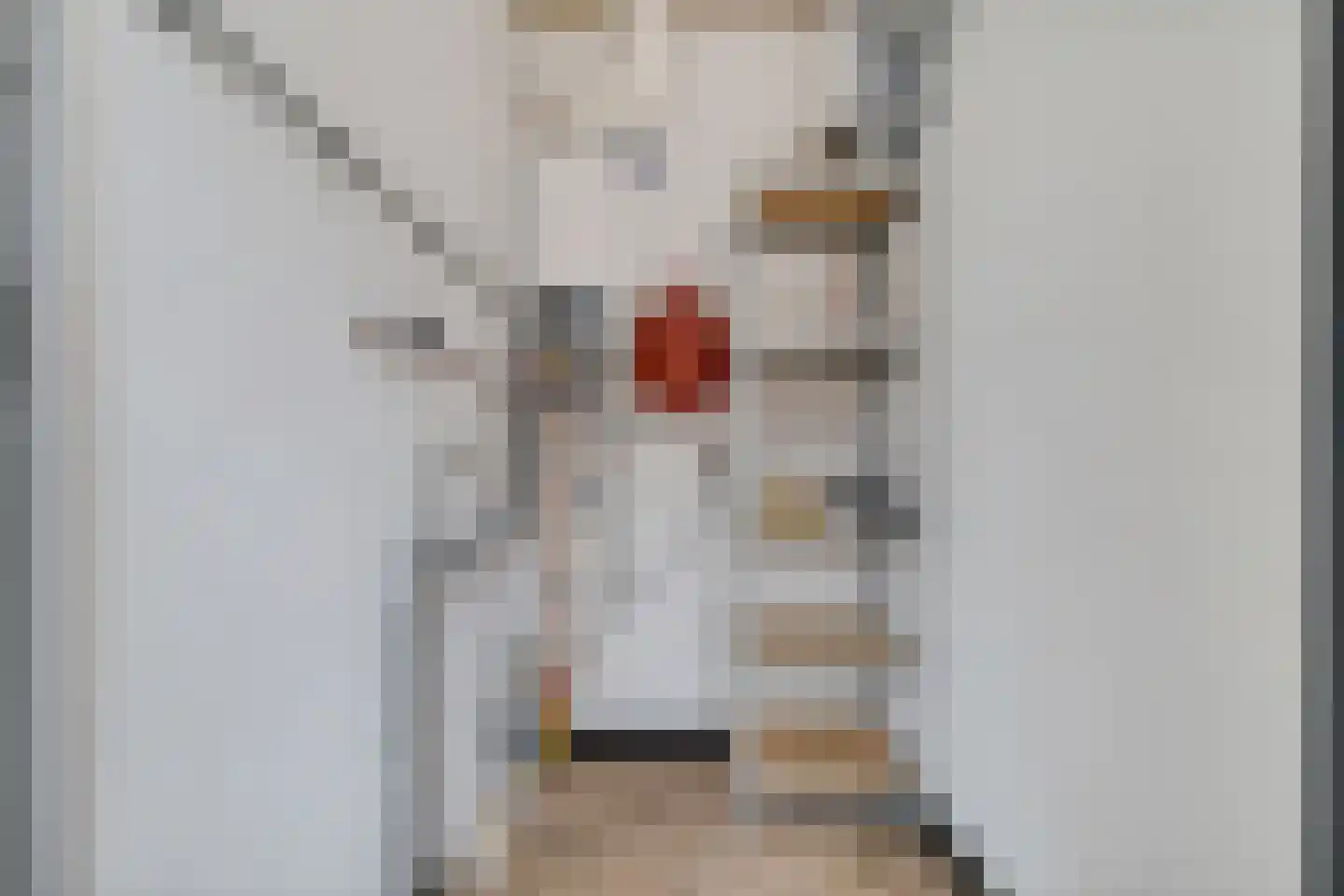 Julianalaan 13 B Harderwijk thumbnail 36