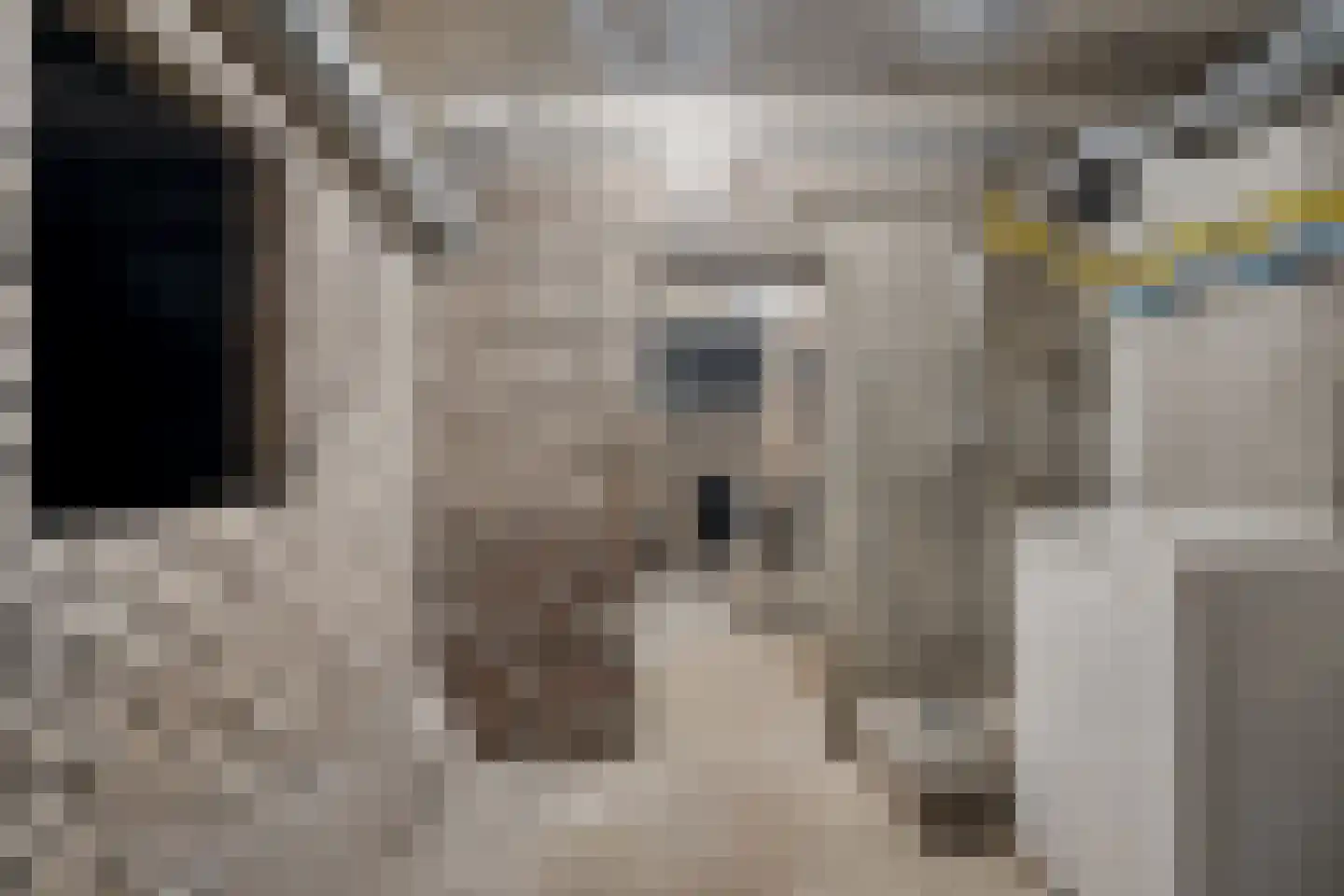 Julianalaan 13 B Harderwijk thumbnail 38