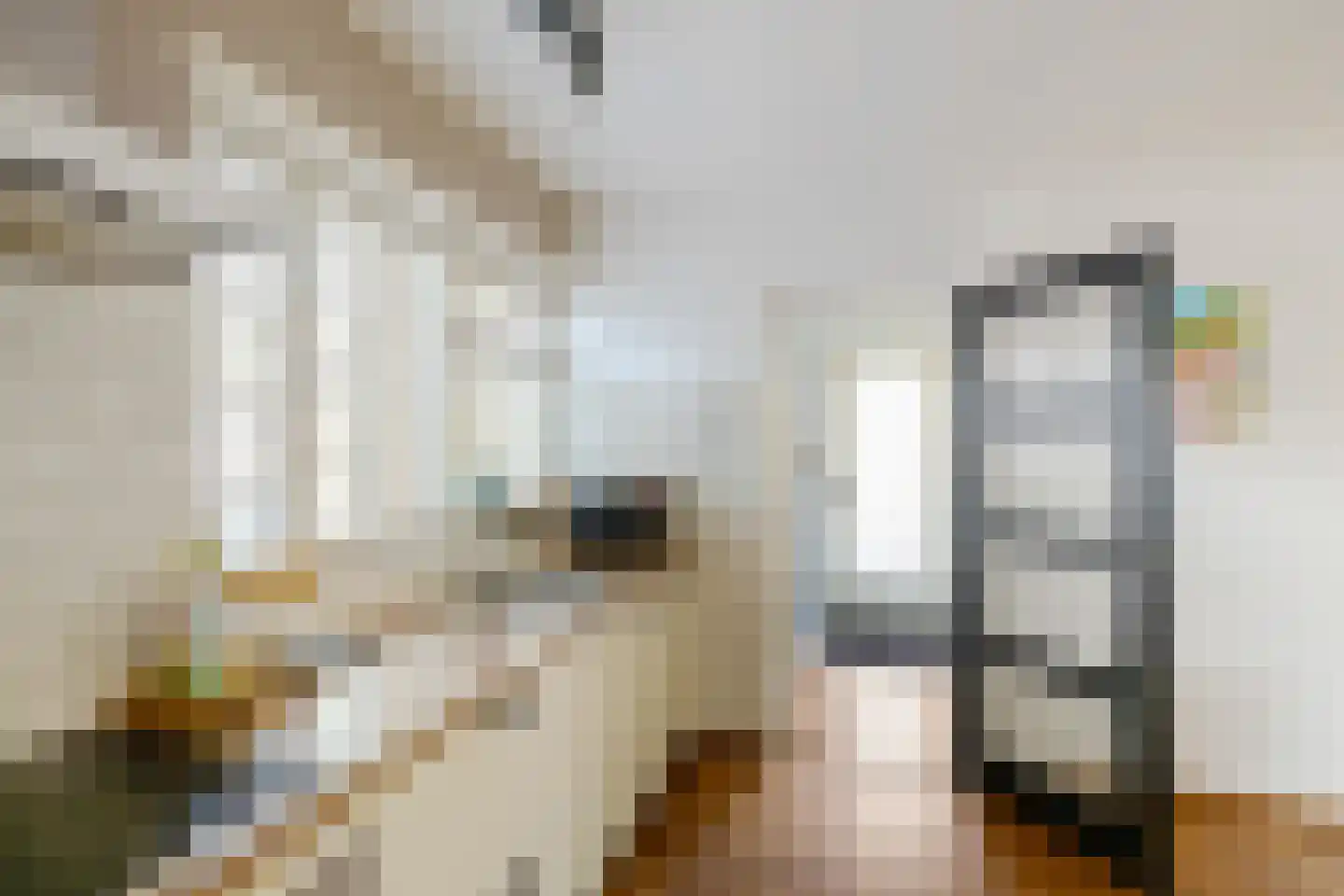 Julianalaan 13 Bedum thumbnail 12