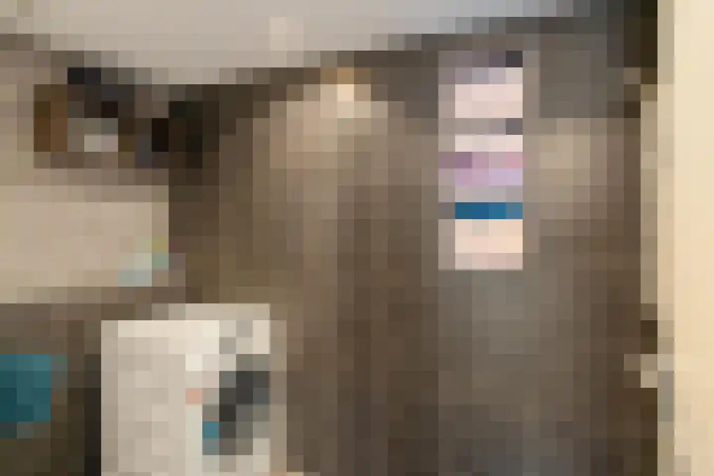 Julianalaan 13 Bedum thumbnail 16