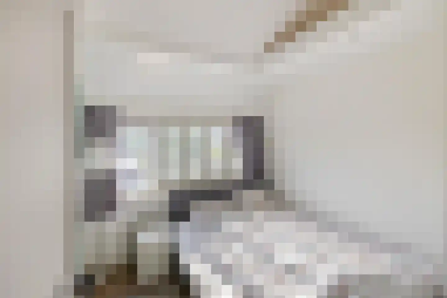 Julianalaan 13 Bedum thumbnail 22