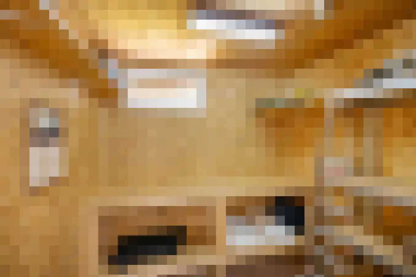Julianalaan 13 Bedum thumbnail 38