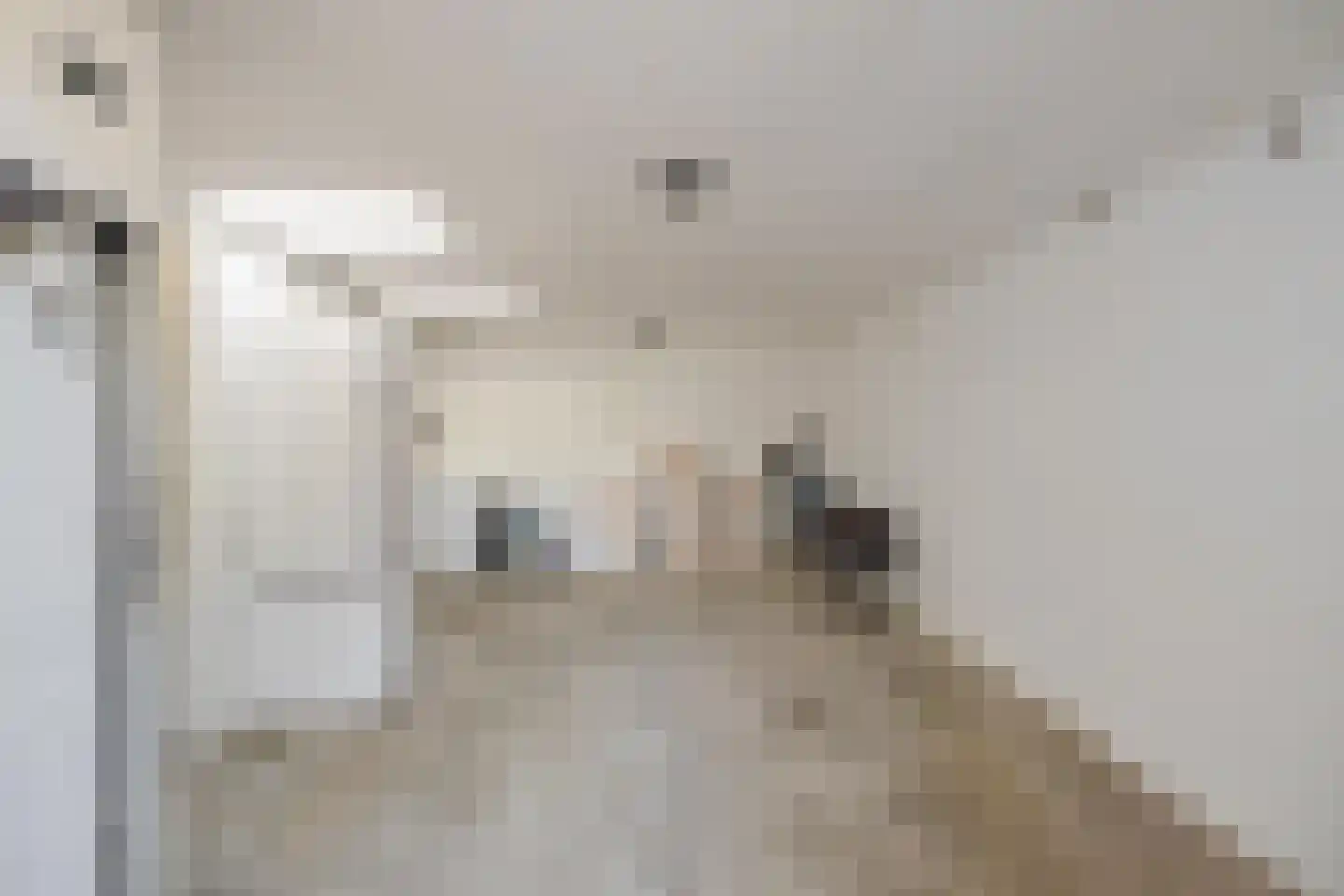 Julianalaan 13 Bedum thumbnail 40