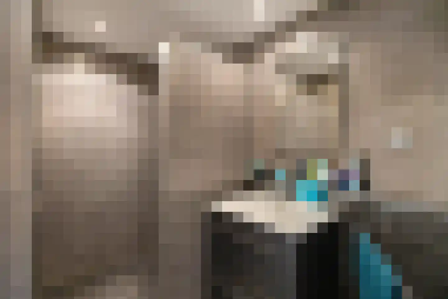 Julianalaan 13 Bedum thumbnail 5