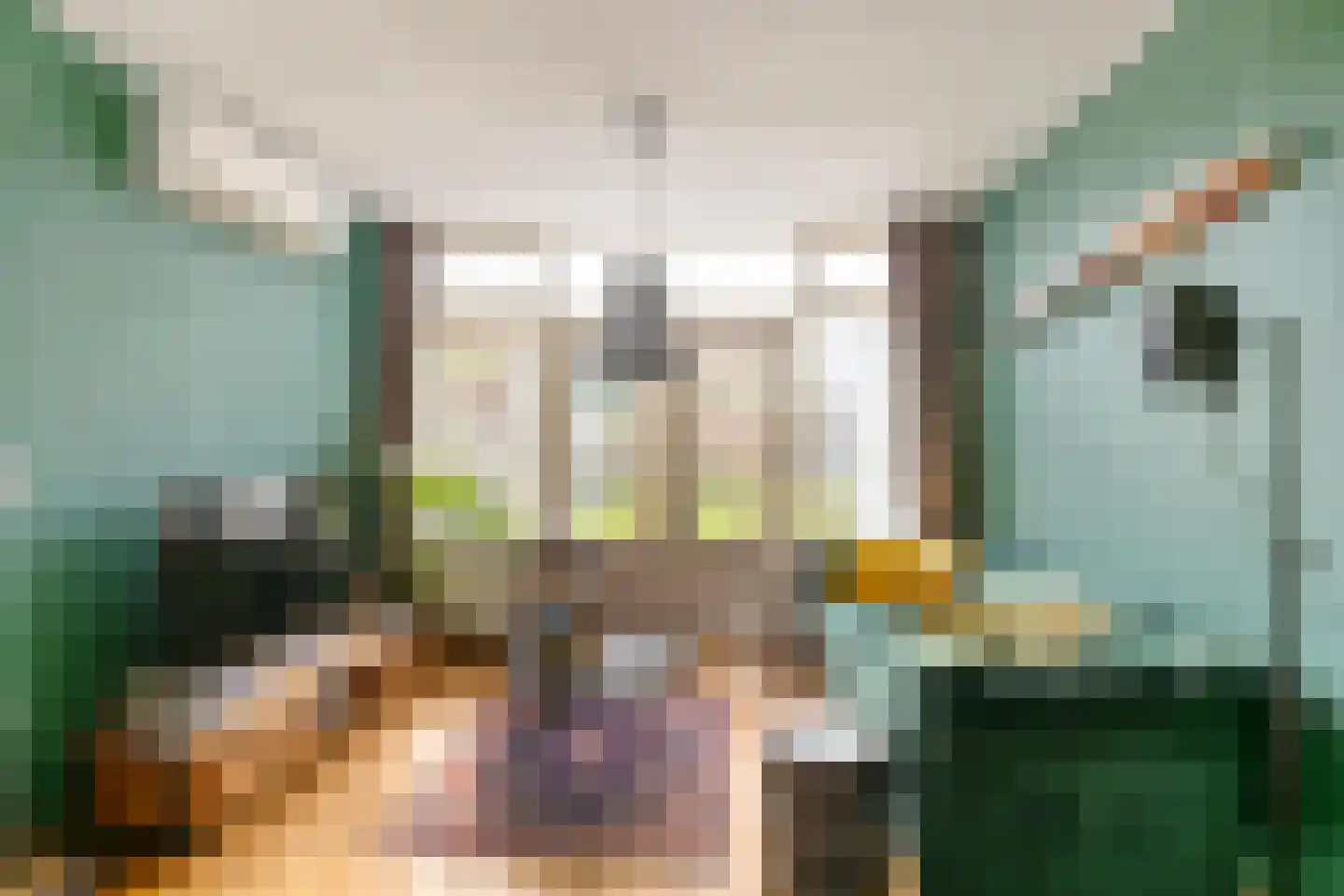 Julianalaan 13 Bedum thumbnail 6