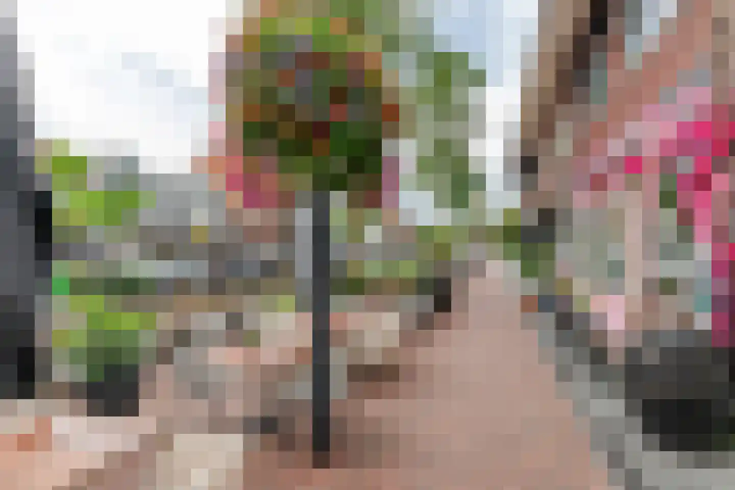Julianalaan 13 Bilthoven thumbnail 33
