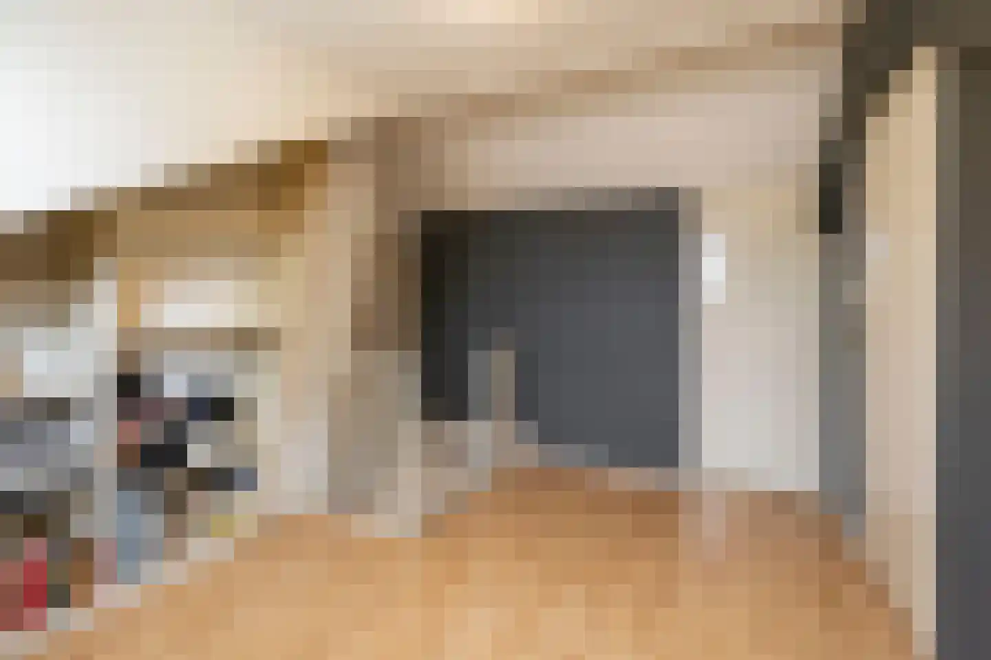 Julianalaan 13 Ede thumbnail 28