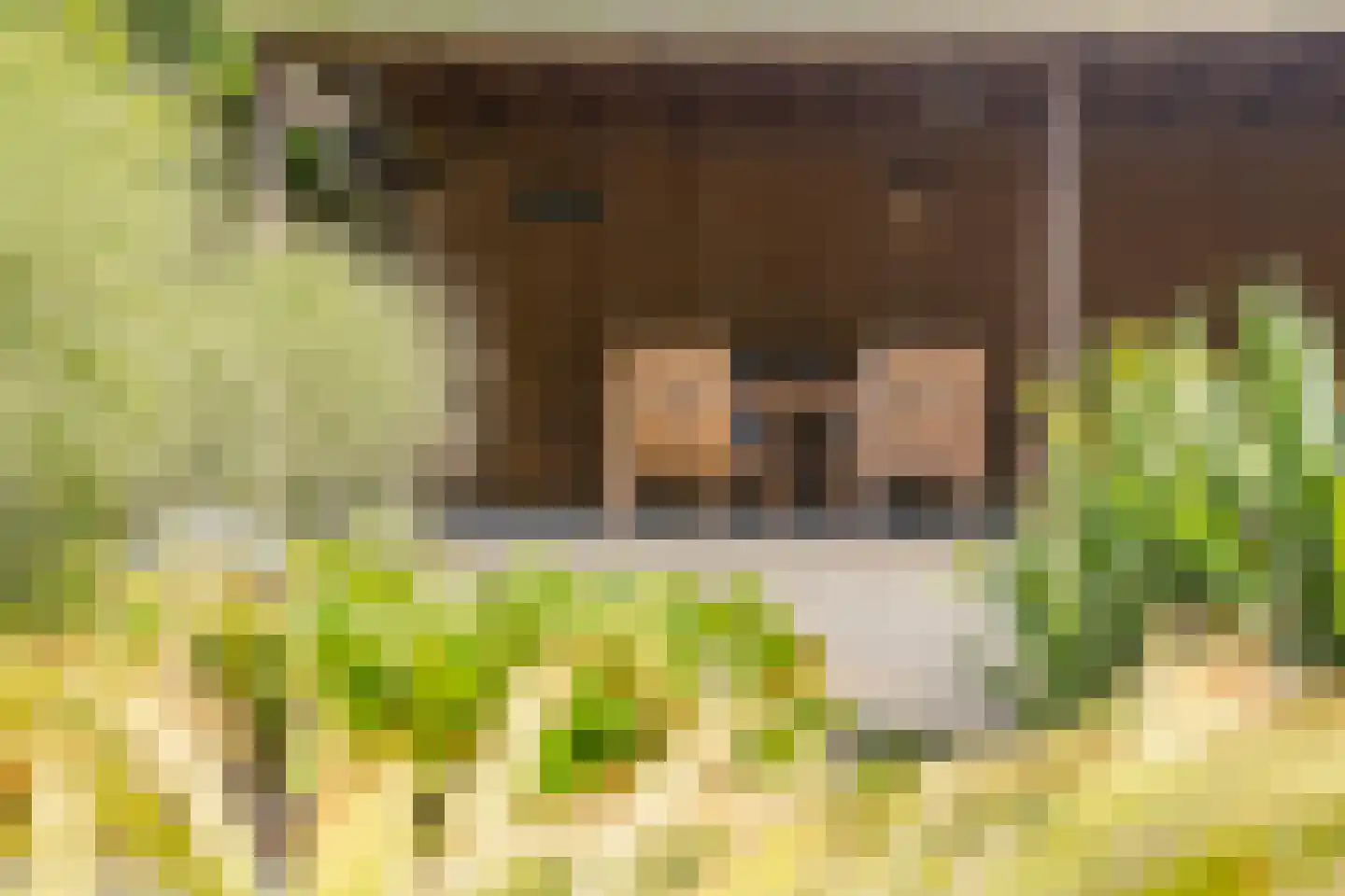 Julianalaan 13 Ede thumbnail 34