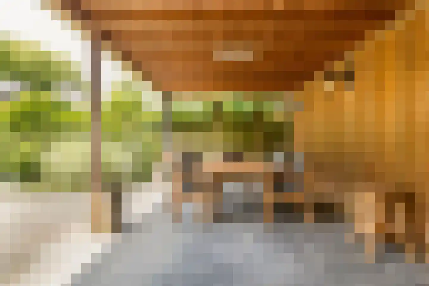Julianalaan 13 Ede thumbnail 35