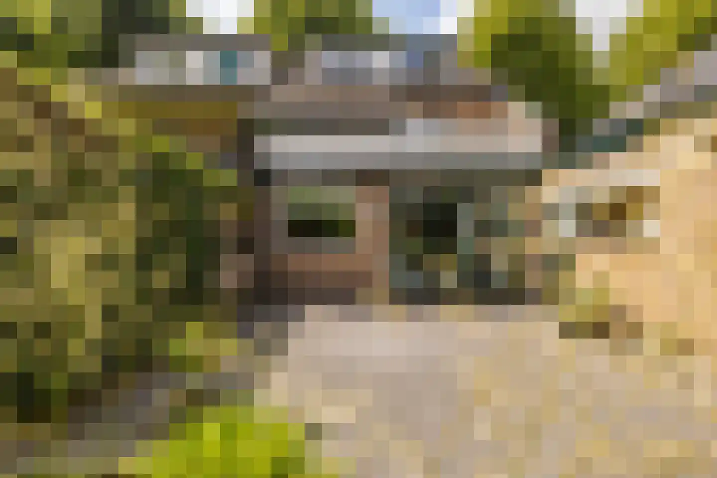 Julianalaan 13 Ede thumbnail 38