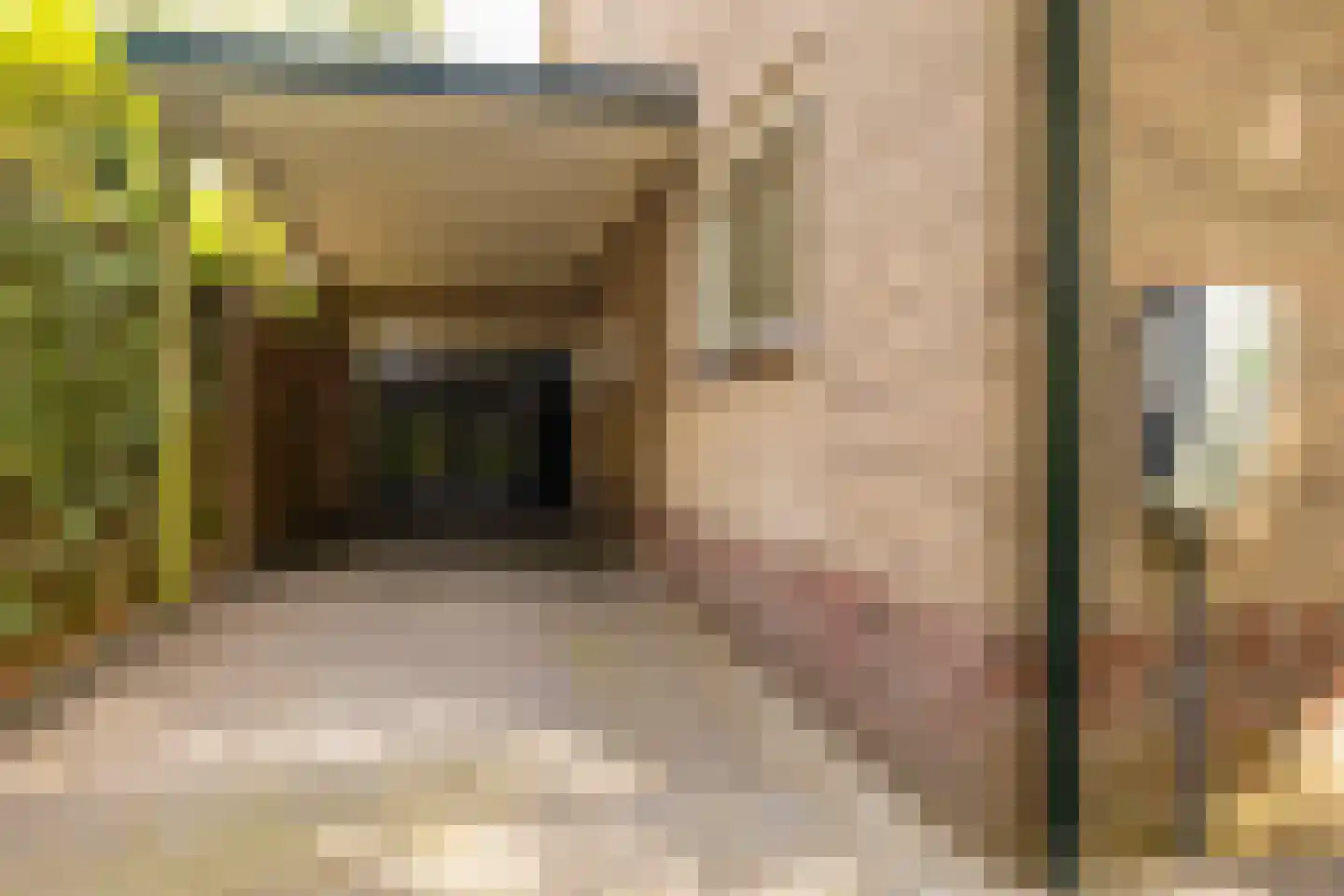 Julianalaan 13 Ede thumbnail 43