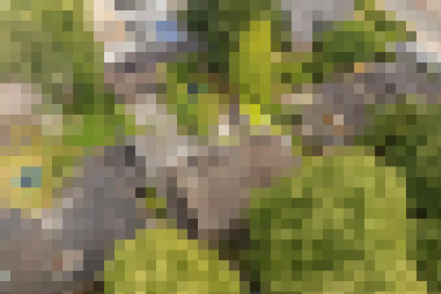 Julianalaan 13 Ede thumbnail 45