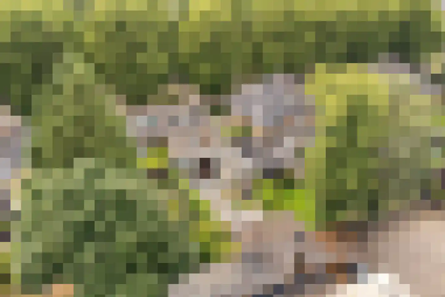 Julianalaan 13 Ede thumbnail 46