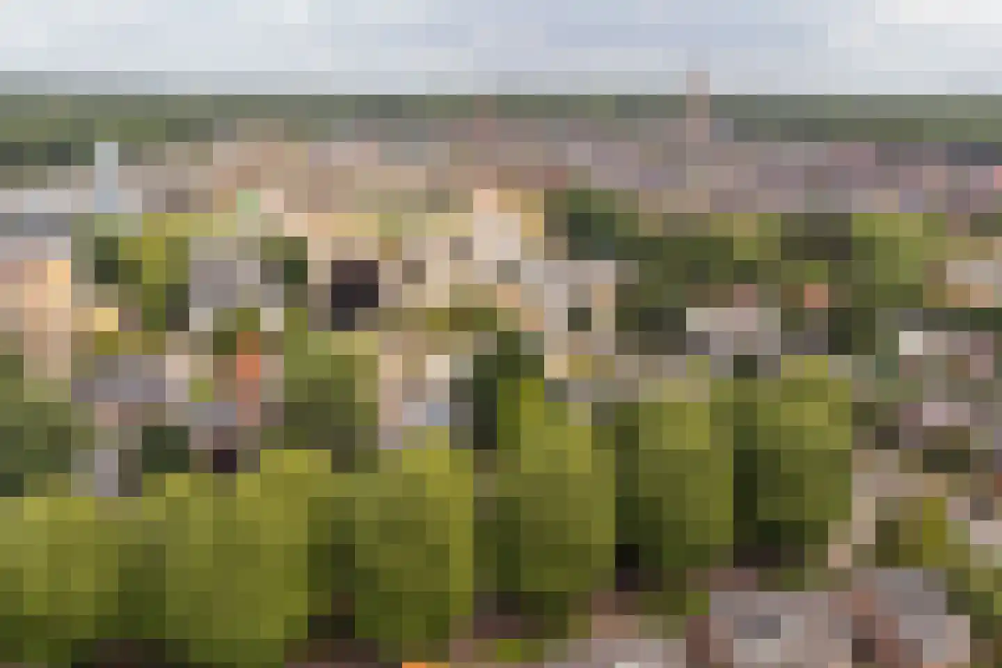 Julianalaan 13 Ede thumbnail 47